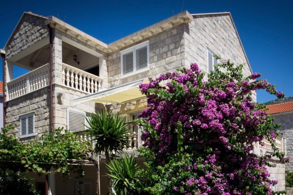 Relax Comfy Cozy Apartment Cavtat Exterior foto